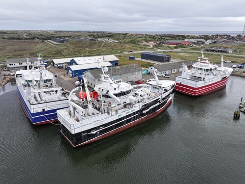 Nyhedsbrev Hvide Sande Havn september 2025