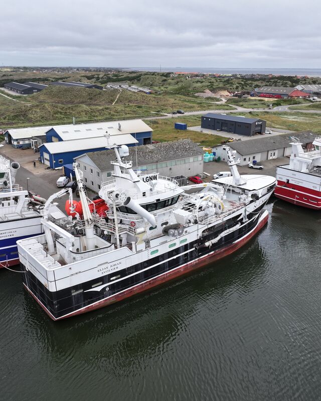 Nyhedsbrev Hvide Sande Havn september 2025