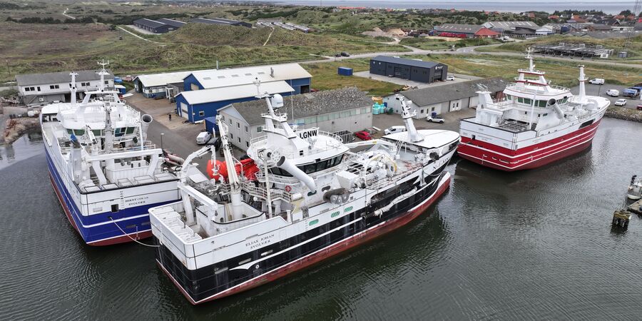 Nyhedsbrev Hvide Sande Havn september 2025