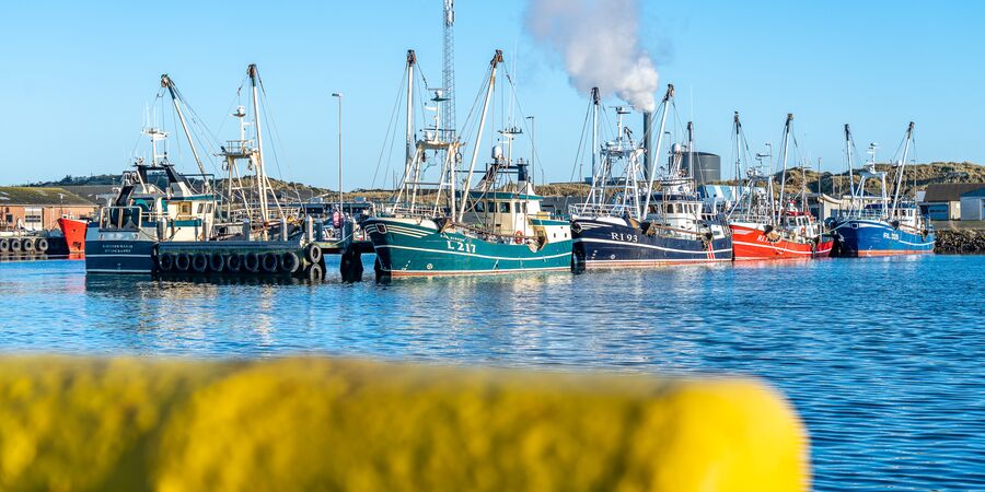 Nyhedsbrev Hvide Sande Havn marts 2026