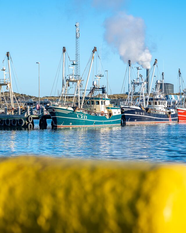 Nyhedsbrev Hvide Sande Havn marts 2026