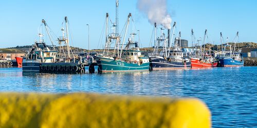 Nyhedsbrev Hvide Sande Havn marts 2026