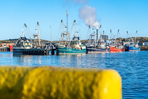 Nyhedsbrev Hvide Sande Havn marts 2026